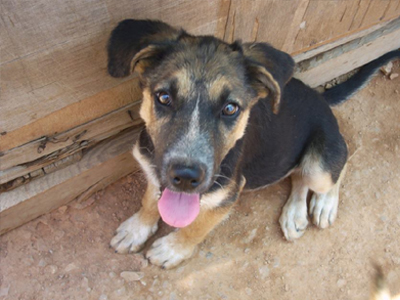 Η Τζάκυ ζητά βοήθεια